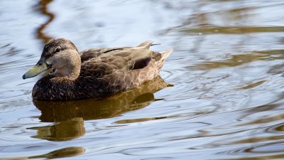 IMG_3291.jpg