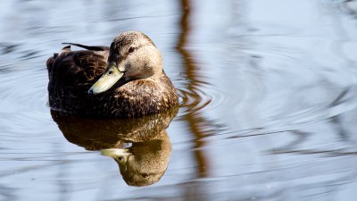 IMG_3300.jpg