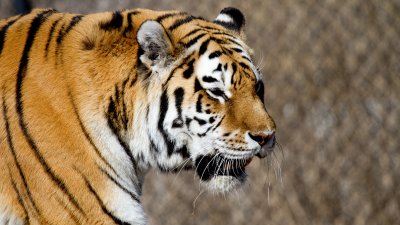IMG_3368.jpg