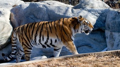 IMG_3384.jpg