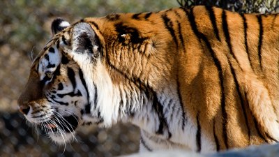 IMG_3388.jpg