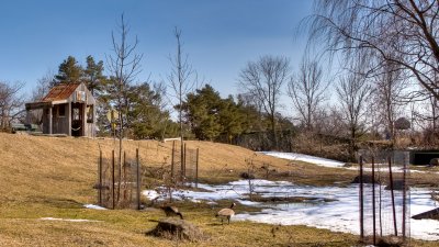 IMG_5442.jpg