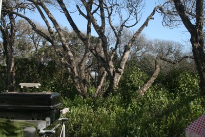 One more view
