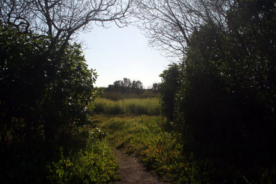 From our site to the path
