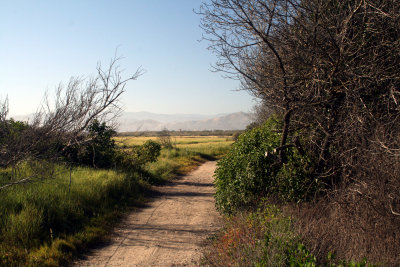 Path to the salt marsh