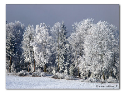 Wintertag / winter day (0948)