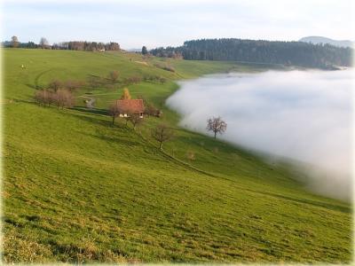 Gubel Menzingen (ZG) - Nebelgrenze /  fog boundary
