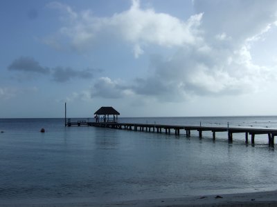 g3/45/515945/3/115551119.esFet7t1.jpg