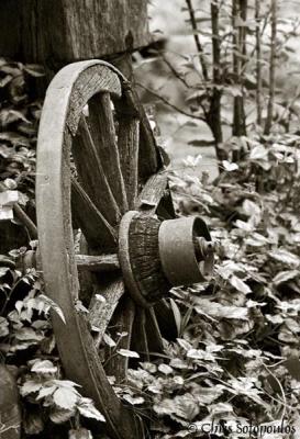 4 June 2005 - Wooden wheel