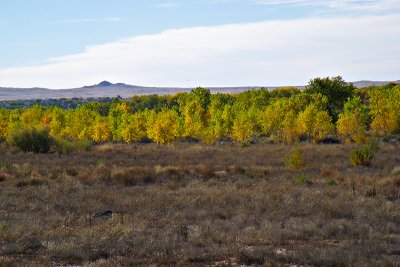 Day 1: Albuquerque (Bike Path)