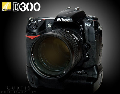 D300 with 85 1.4 lens