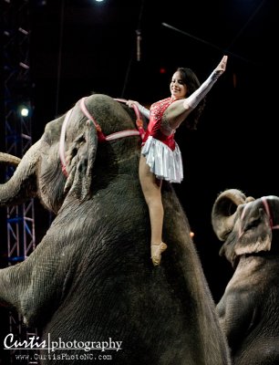 Ringling Bros Circus