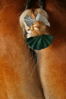 CUL DE CHEVAL