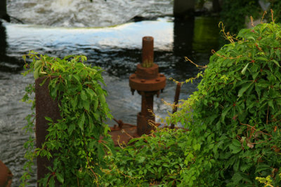 COLONNES COLONISES