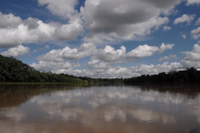 Work in Peru Amazon Basin 2008