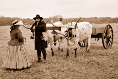 Larry Claudia and oxen.JPG
