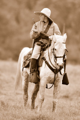 Battle Reb Cav 02.JPG