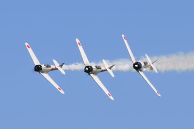 Tora 03.JPG