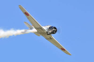 Tora 01.JPG