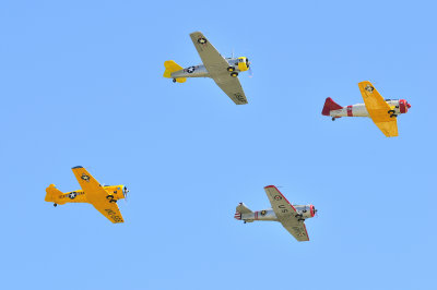 T6 Formation.JPG