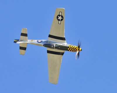 P51 Double Trouble Too.JPG