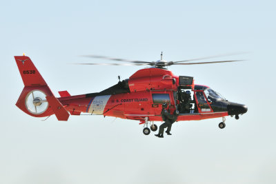 MH65 Dauphin USCG.JPG
