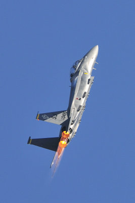 F15E Strike Eagle 03.JPG