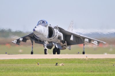 AV8B Harrier 04.JPG