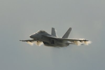 FA18 Rhino 2.jpg