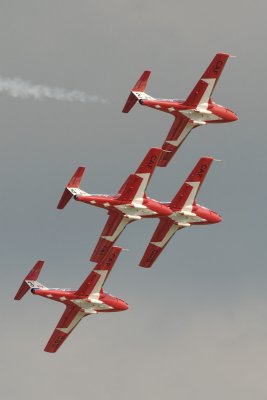 Snowbirds 16.jpg