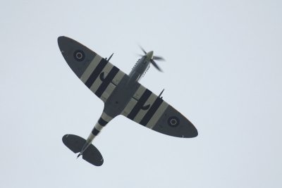 Spitfire Mk959 3.jpg