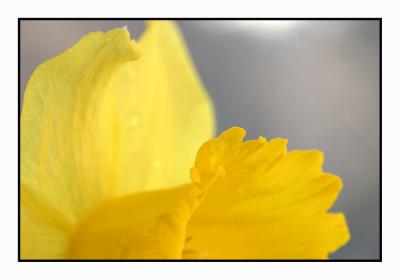 6 april 2006