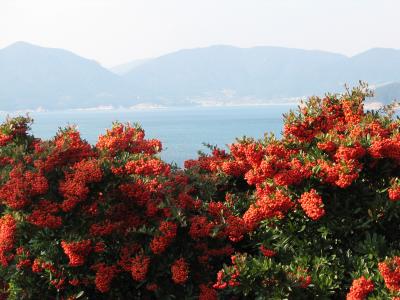 IMG_0357.JPG