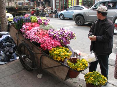 IMG_1653.JPG