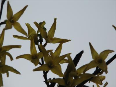 IMG_2025.JPG