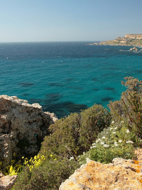 Around the Island of Malta