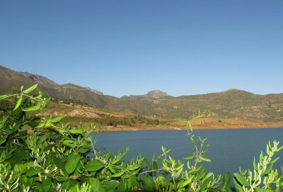IMG_0196.jpg