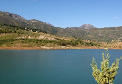 IMG_0217.jpg
