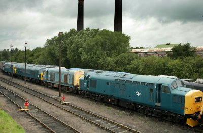AMJ_4630.jpg