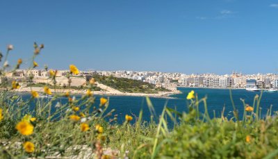 Around the Island of Malta