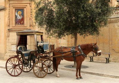 Around the Island of Malta