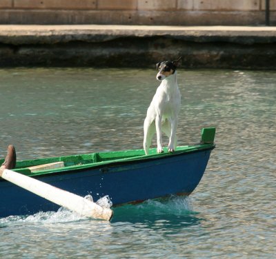 Around the Island of Malta