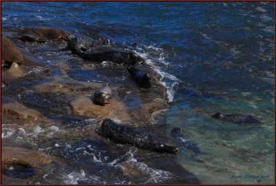 La Jolla California