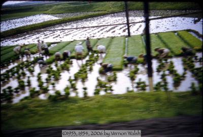 b03s0004.jpg