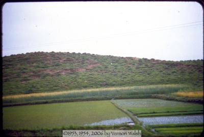 b04s0011.jpg