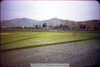 b06s0001.jpg