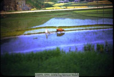 b11s0002.jpg