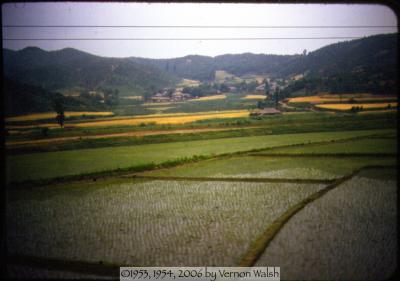 Korean War photos, 1953-1954