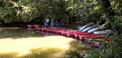 Khne auf dem Stadtwaldweiher - boats on urban pond