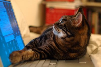 g3/45/654245/3/58234922.CheckingEmail.jpg